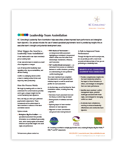 Download Leadership Team Assimilation PDF